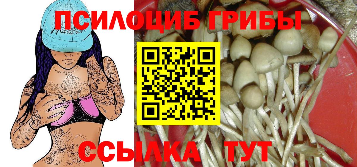 Трёхгорный  сколько стоит  Вход с VPN  Псилоцибиновые грибы ЛСД 